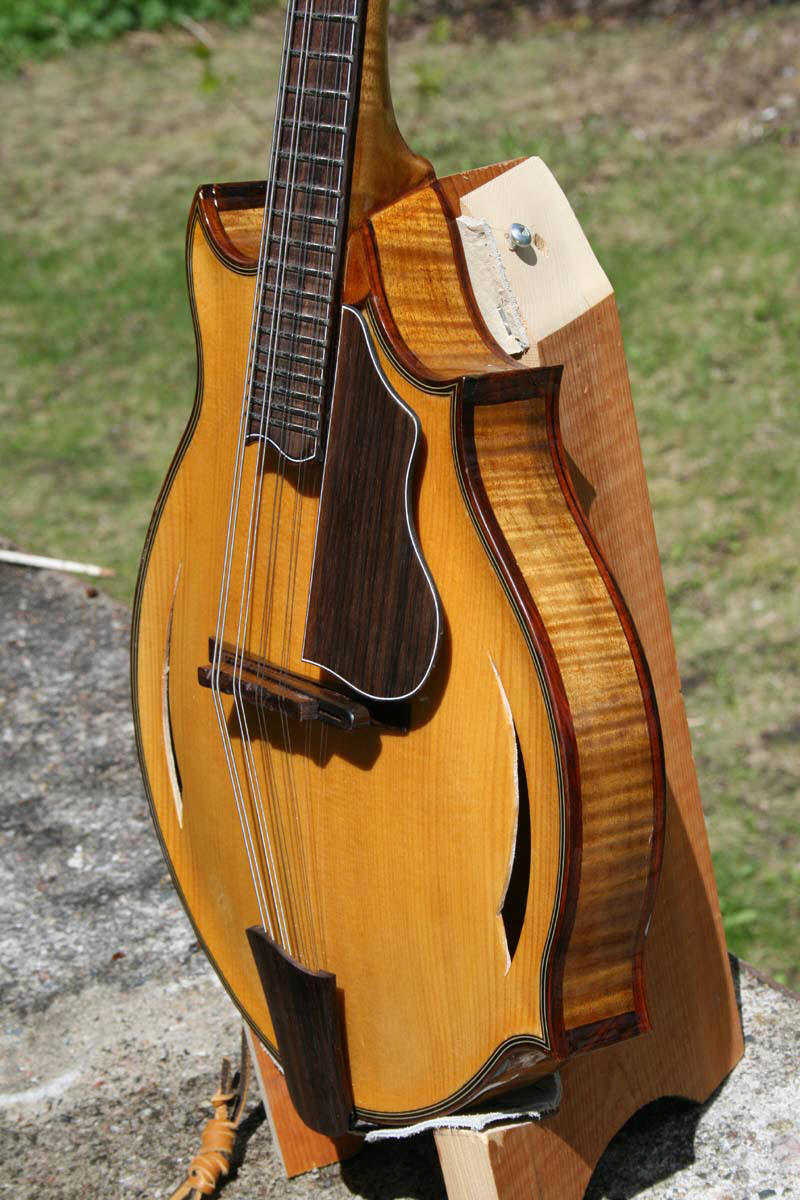 to Proulx Guitars & Mandolins!